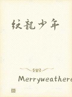 纹龙少年