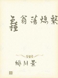 色翁荡熄系列借种