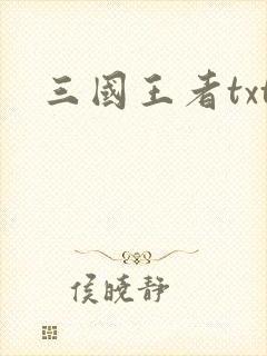 三国王者txt