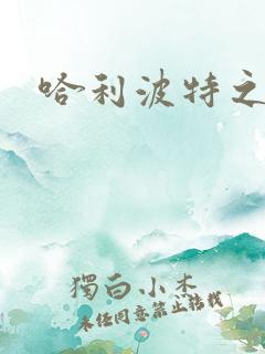 哈利波特之守护