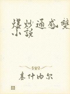 爆炒通感双胞胎小说