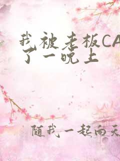 我被老板CAO了一晚上