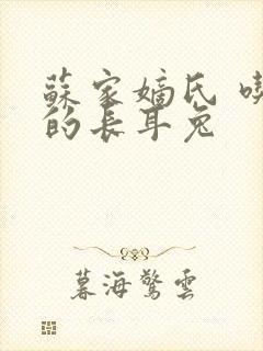 苏家嫡氏 吃肉的长耳兔