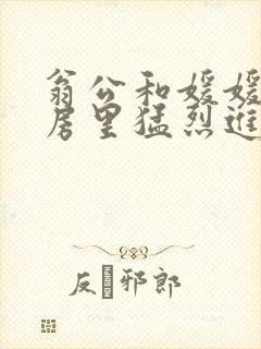 翁公和媛媛在厨房里猛烈进出