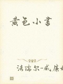 黄色小书