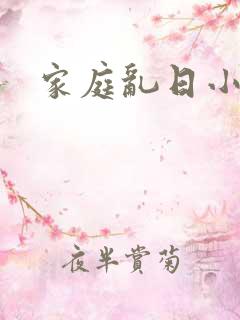 家庭乱日小说