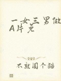 一女三男做2爱A片免