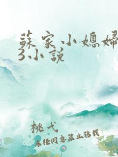 苏家小媳妇1V3小说