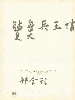 贴身兵王俏总裁夏天