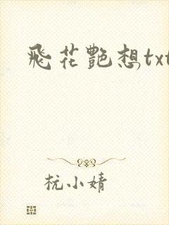 飞花艳想txt