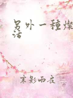 另外一种灿烂生活