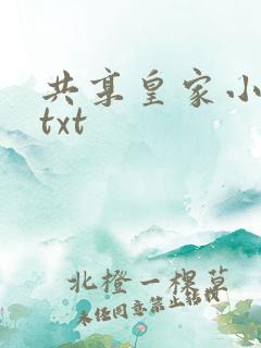 共享皇家小公主txt