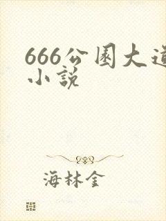 666公园大道小说