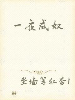 一夜成奴