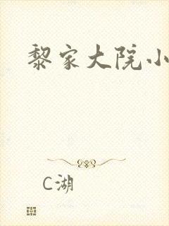 黎家大院小说