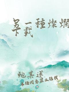 另一种灿烂生活下载