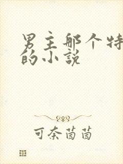 男主那个特别大的小说