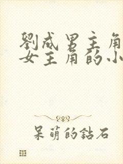 刘成男主角刘雪女主角的小说