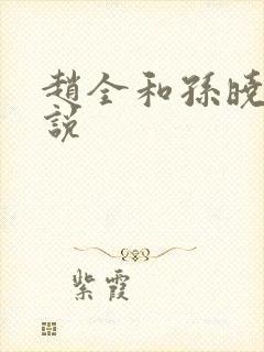 赵全和孙晓云小说