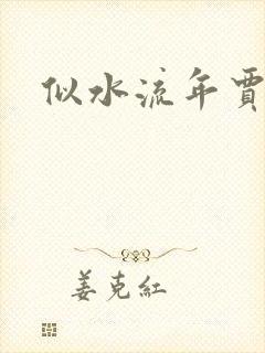 似水流年贾二虎