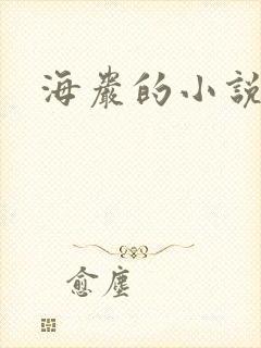 海岩的小说