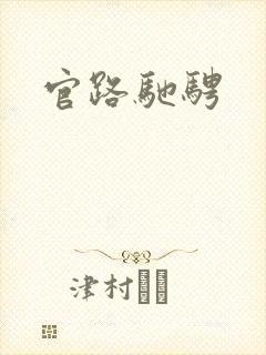 官路驰骋