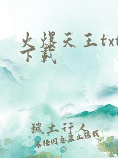 火爆天王txt下载