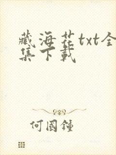 藏海花txt全集下载