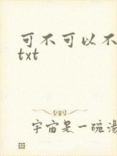 可不可以不嫁人txt