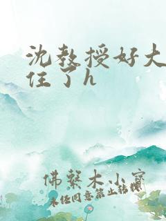 沈教授好大含不住了h