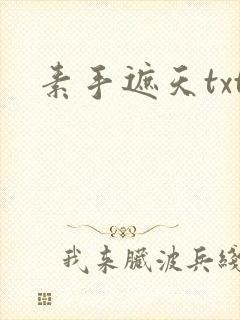 素手遮天txt