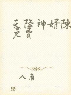 天降神婿陈黄皮免费