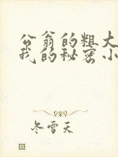 公翁的粗大放进我的秘密小说