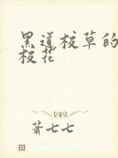 黑道校草的黑道校花