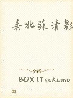 秦北苏清影小说
