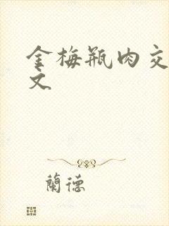 金梅瓶肉交白话文