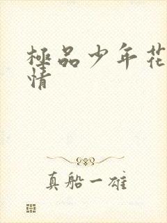 极品少年花都燃情