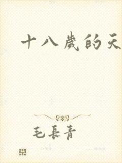 十八岁的天空续
