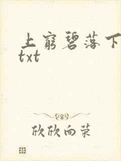 上穷碧落下黄泉txt