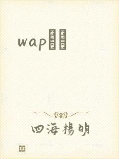 wapС˵