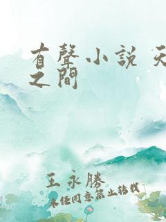 有声小说 天地之间