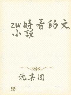 zw时看的文案小说