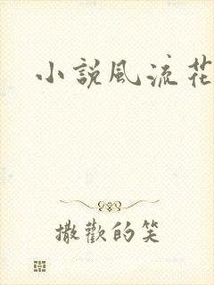 小说风流花少