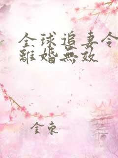 全球追妻令老婆离婚无效