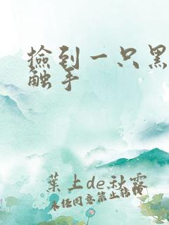 捡到一只黑心小触手