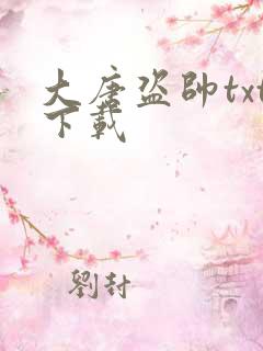 大唐盗帅txt下载