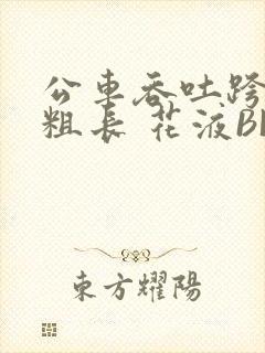 公车吞吐跨坐 粗长 花液BL