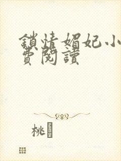 锁情媚妃小说免费阅读