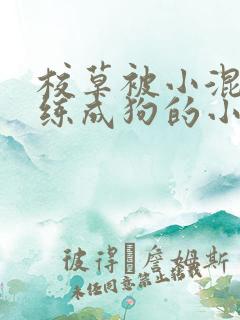 校草被小混混训练成狗的小说