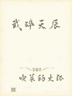 武碎天辰